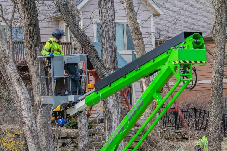 tree service advertising