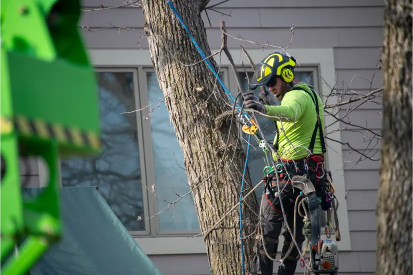 best advertising for tree service