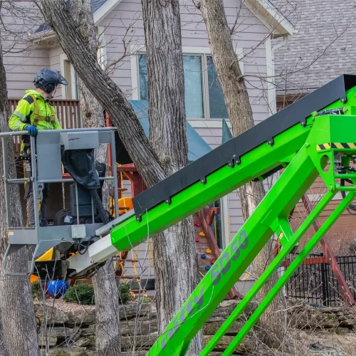 tree service advertising