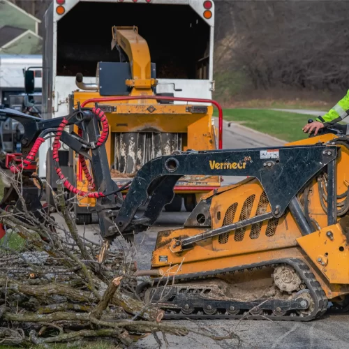 tree service marketing