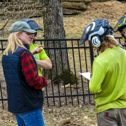 tree service marketing