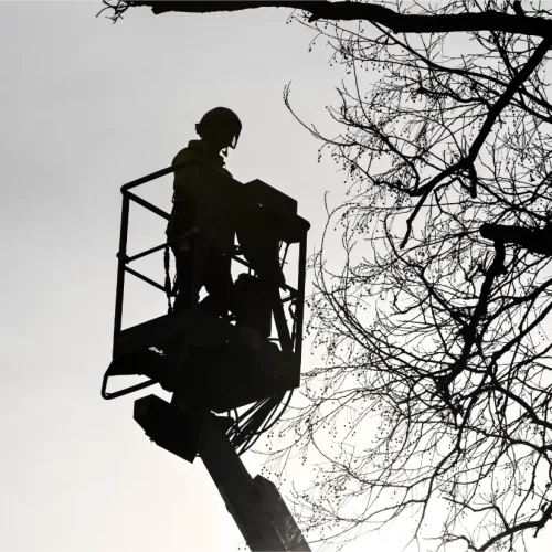 tree service marketing 2.0