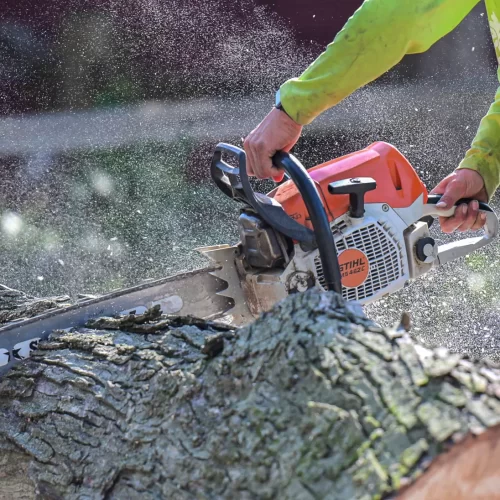 tree service marketing agency